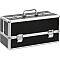 Большой кейс для хранения секс-игрушек BMS Factory Large Lokable Vibrator Case Black, кодовый замок