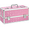 Большой кейс для хранения секс-игрушек BMS Factory Large Lokable Vibrator Case Pink, кодовый замок