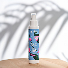 Антибактеріальний спрей для іграшок Goliate Nettoyant Sextoy 100 мл, безпечний для тіла