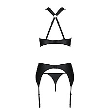 Сетчатый набор с узором, бюстгальтер, трусики, пояс для чулок Passion HIMA SET XXL/XXXL black