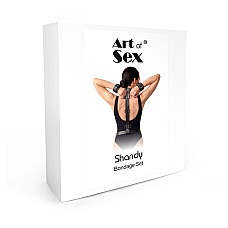 Бондажный набор Art of Sex - Shandy XS-M, экокожа, черный
