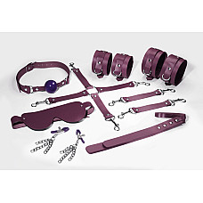 Набор Feral Feelings BDSM Kit 7 Burgundy, наручники, поножи, коннектор, маска, паддл, кляп, зажимы