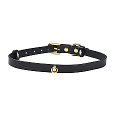 Сумка-трансформер для хранения секс-игрушек LOCKINK Detachable JK Bag, черная, ПВХ