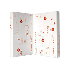 Календар секс-сюрпризів Adrien Lastic Advent Calendar 2022 CHRISTMAS DESIRES, 24 подарунки