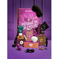 Подарочный набор Lovehoney Indulge in Pleasure