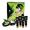 Подарочный набор Shunga GEISHAS SECRETS ORGANICA - Exotic Green Tea: для шикарной ночи вдвоем