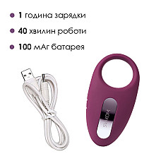 Ерекційне кільце з вібрацією та пультом ДК Svakom Winni Violet
