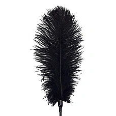 Лоскітка зі страусиним пером Art of Sex - Feather Tickler, колір Чорний