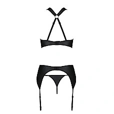 Сетчатый набор с узором, бюстгальтер, трусики, пояс для чулок Passion HIMA SET XXL/XXXL black