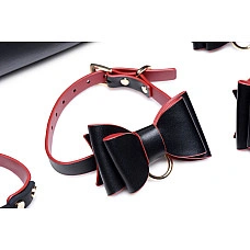 Набір БДСМ з дорожньою сумкою Master Series: Bow — Luxury BDSM Set With Travel Bag, 11 предметів
