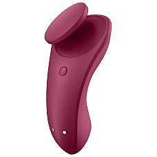 Набор Satisfyer Partner Box 1 (вибратор для пар Double Joy + вибратор в трусики Sexy Secret)
