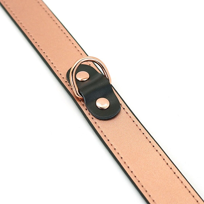 Ошейник с зажимами для сосков Liebe Seele Rose Gold Memory Collar with Nipple Clamps, кожа