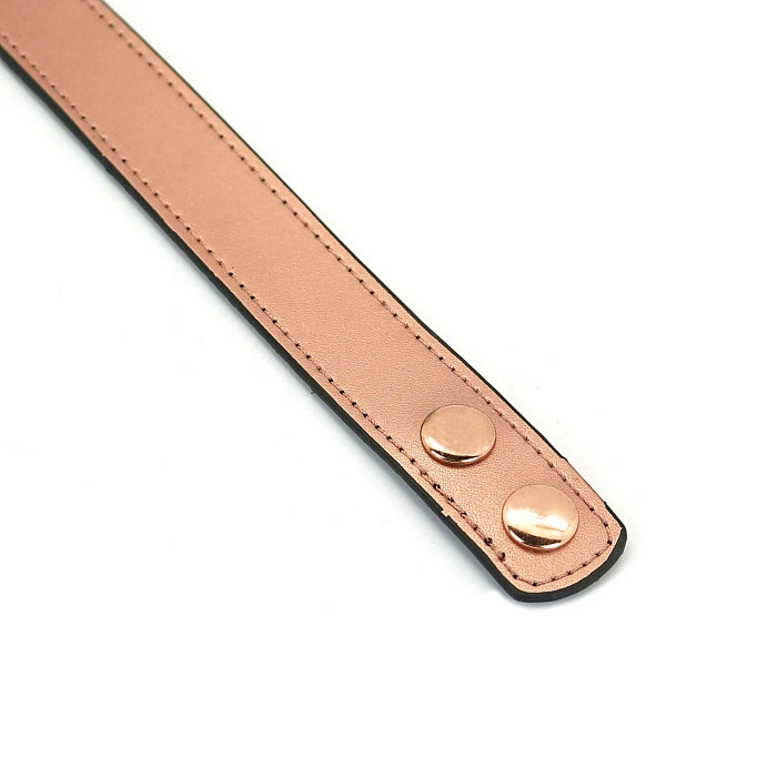 Ошейник с зажимами для сосков Liebe Seele Rose Gold Memory Collar with Nipple Clamps, кожа