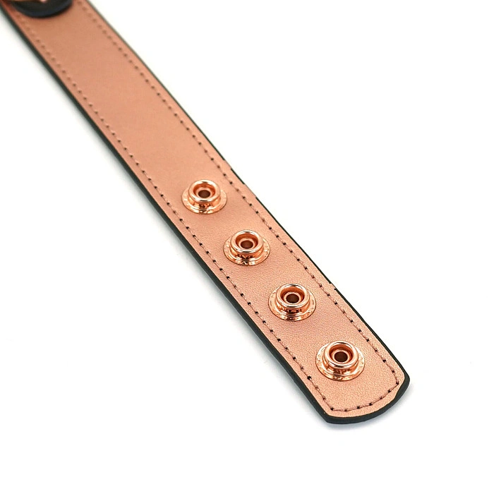 Ошейник с зажимами для сосков Liebe Seele Rose Gold Memory Collar with Nipple Clamps, кожа