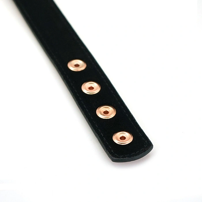 Ошейник с зажимами для сосков Liebe Seele Rose Gold Memory Collar with Nipple Clamps, кожа